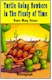 Turtle Going Nowhere cover