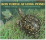 Box Turtle At Long Pond cover