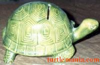 Turtle bank