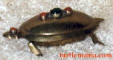 Turtle box