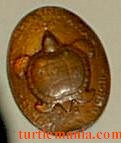 Metal turtle